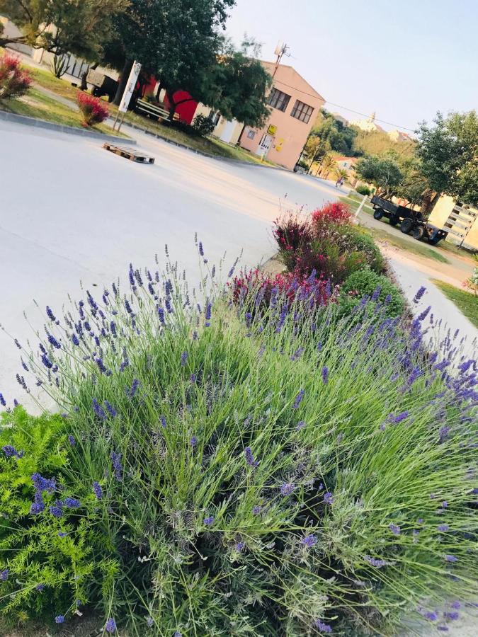 Vila Flora ซูซาค ภายนอก รูปภาพ